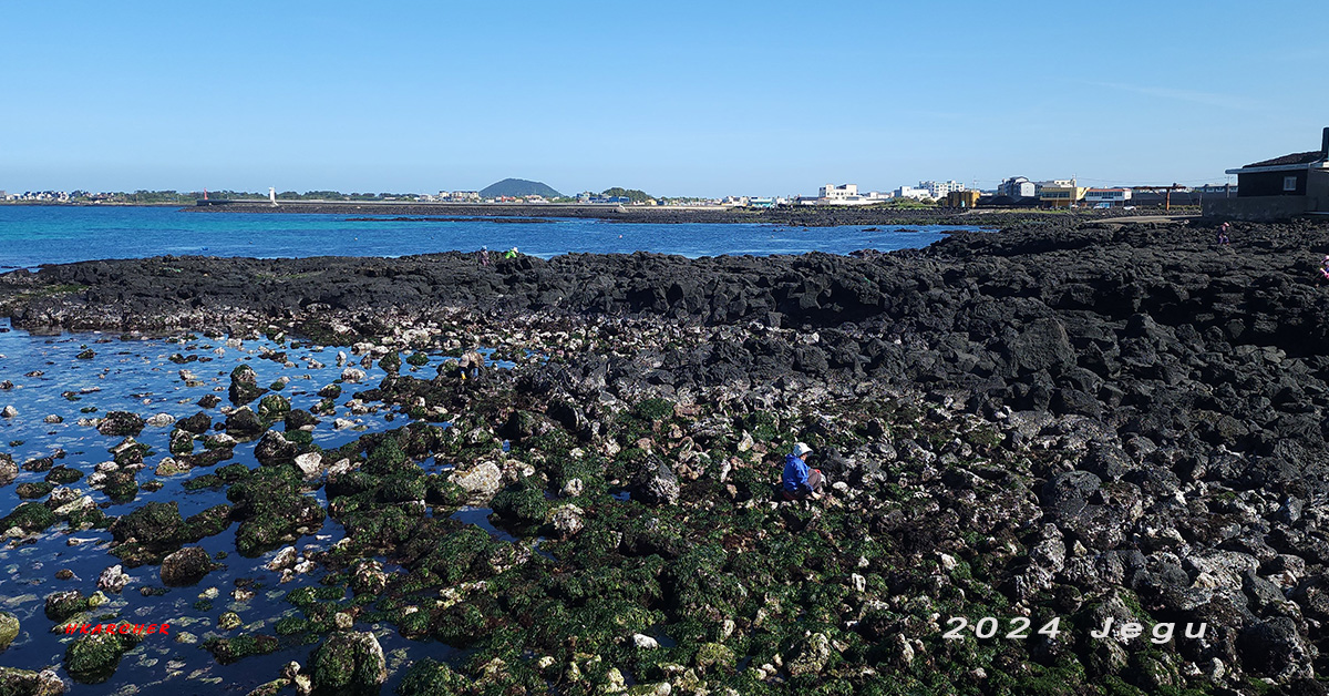 You can see female divers working on the beach.