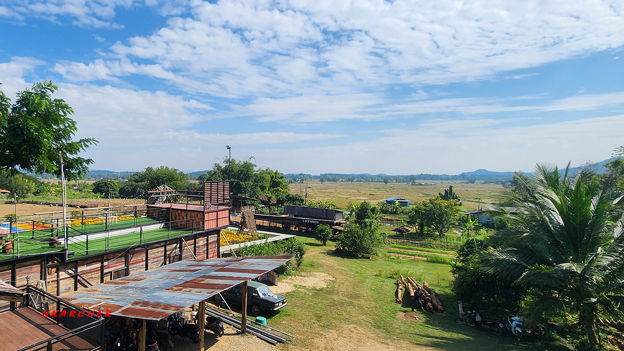 ร้านควายชมพู」（Pink Buffalo Restaurant